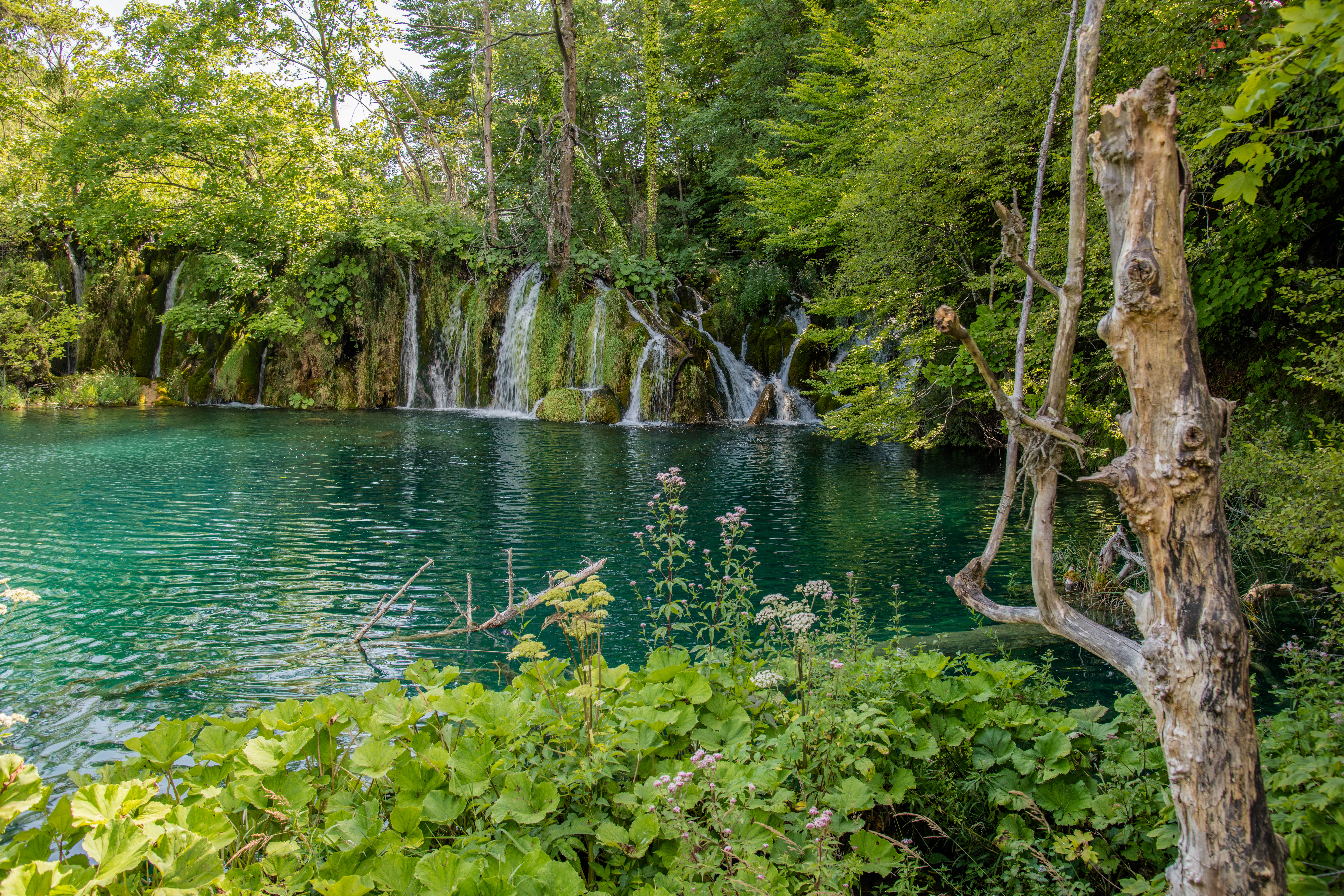Flora und Fauna der Plitvicer Seen