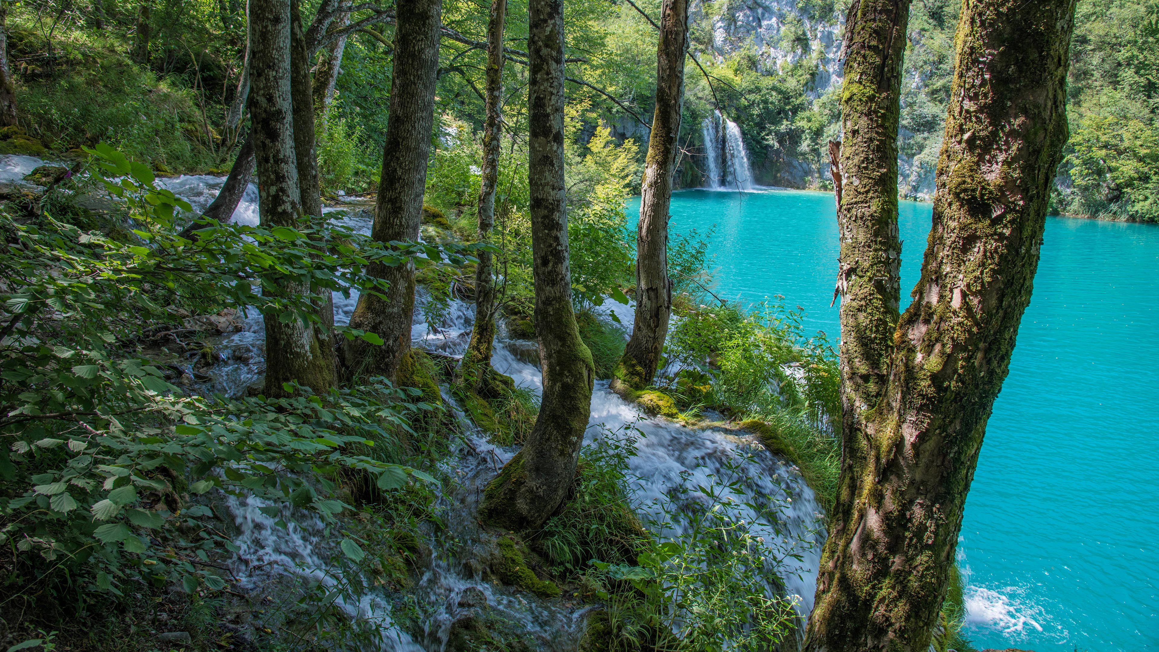 Türkisblauer See zwischen Bäumen mit Wasserfall im Hintergrund