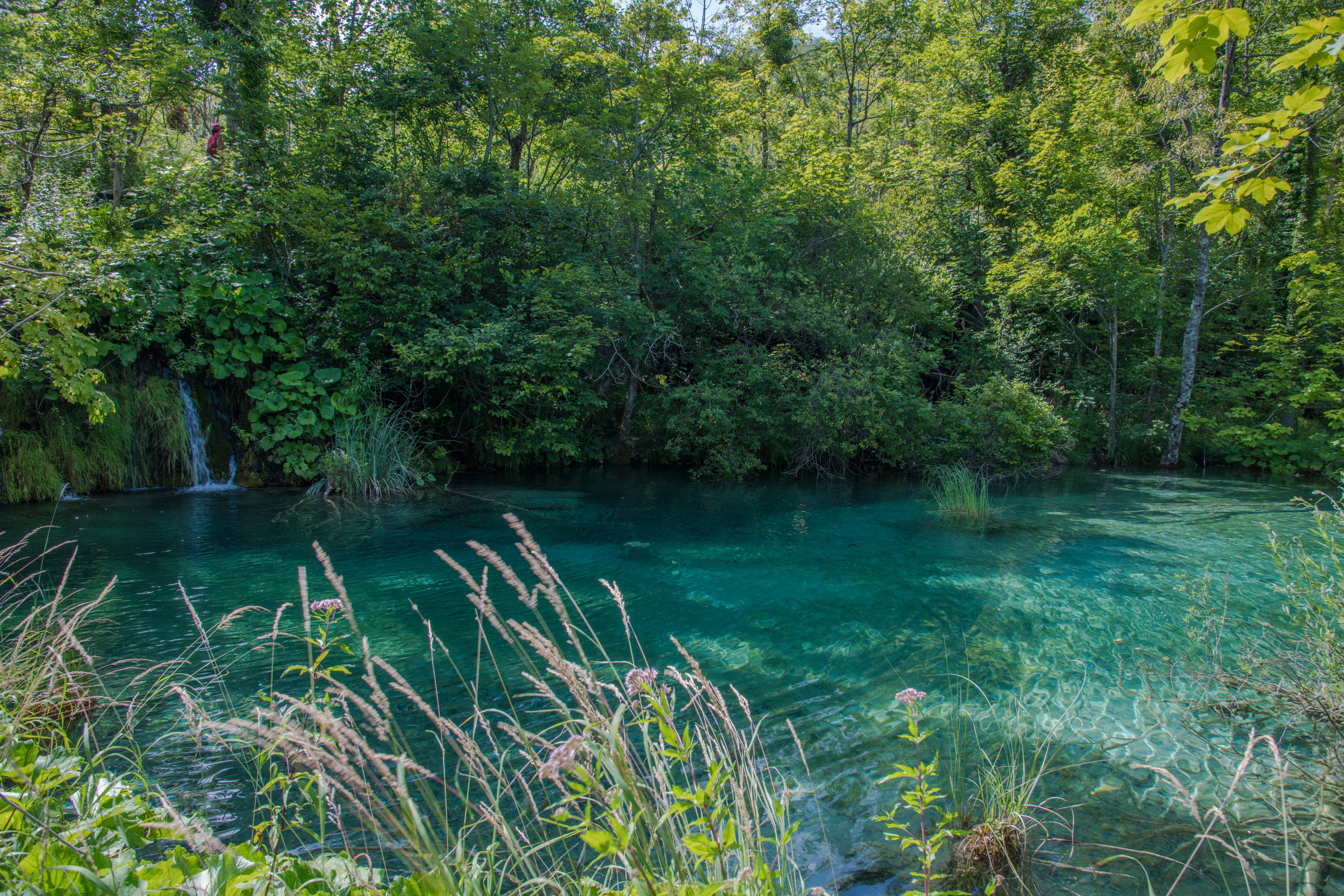 Kristallklarer türkiser See mit Blick durch Bäume auf einen Wasserfall im Nationalpark Plitvicer Seen