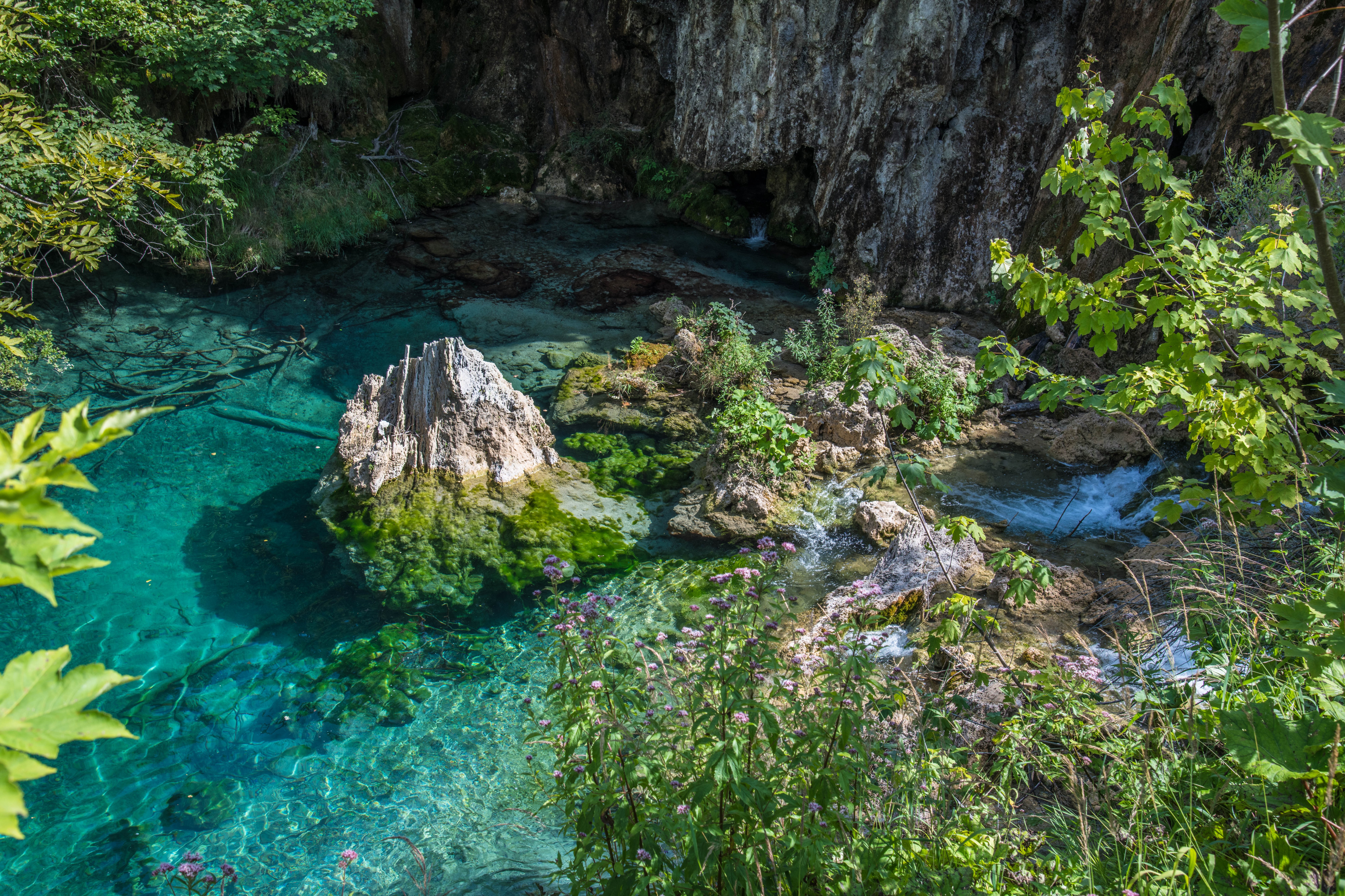 Klares Wasser mit Felsen und Wildblumen an den Plitvicer Seen