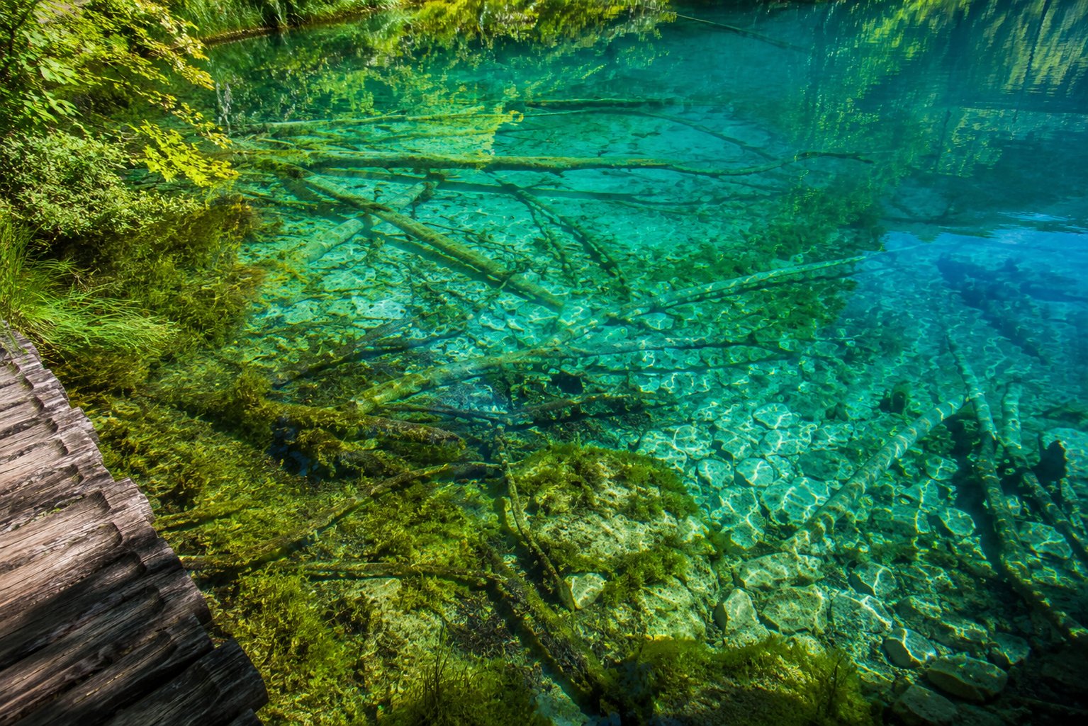 Kristallklarer Seeboden mit Ästen und Steg der Plitvicer Seen